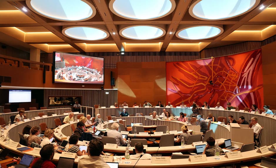 L&rsquo;Int&eacute;gration Audiovisuelle LBDI